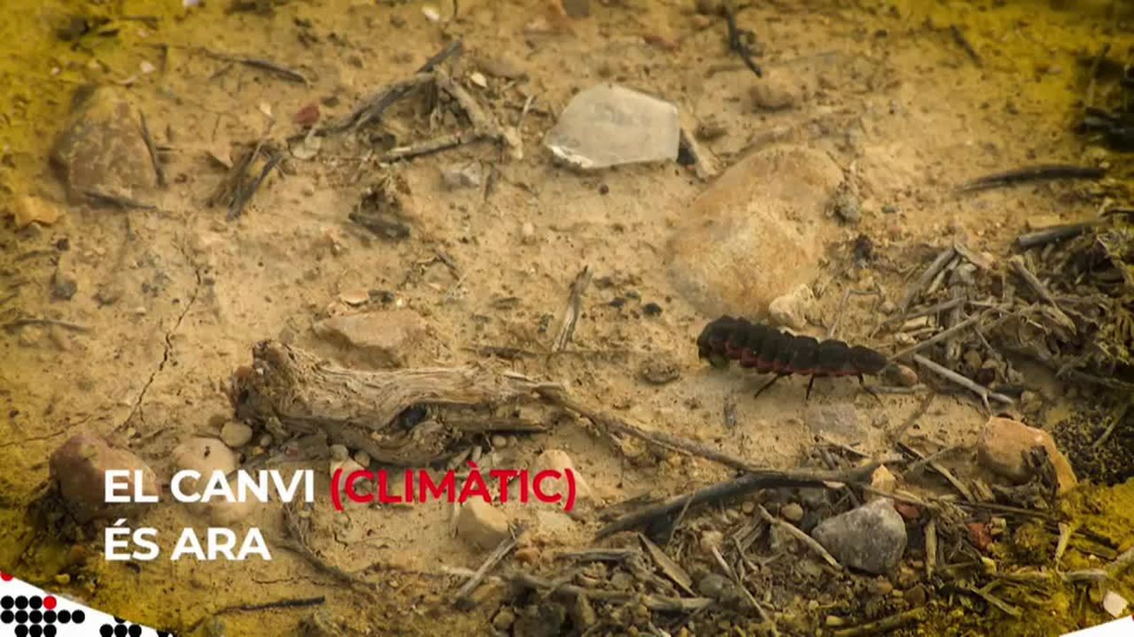 20.07.2018 | El canvi (climàtic) és ara