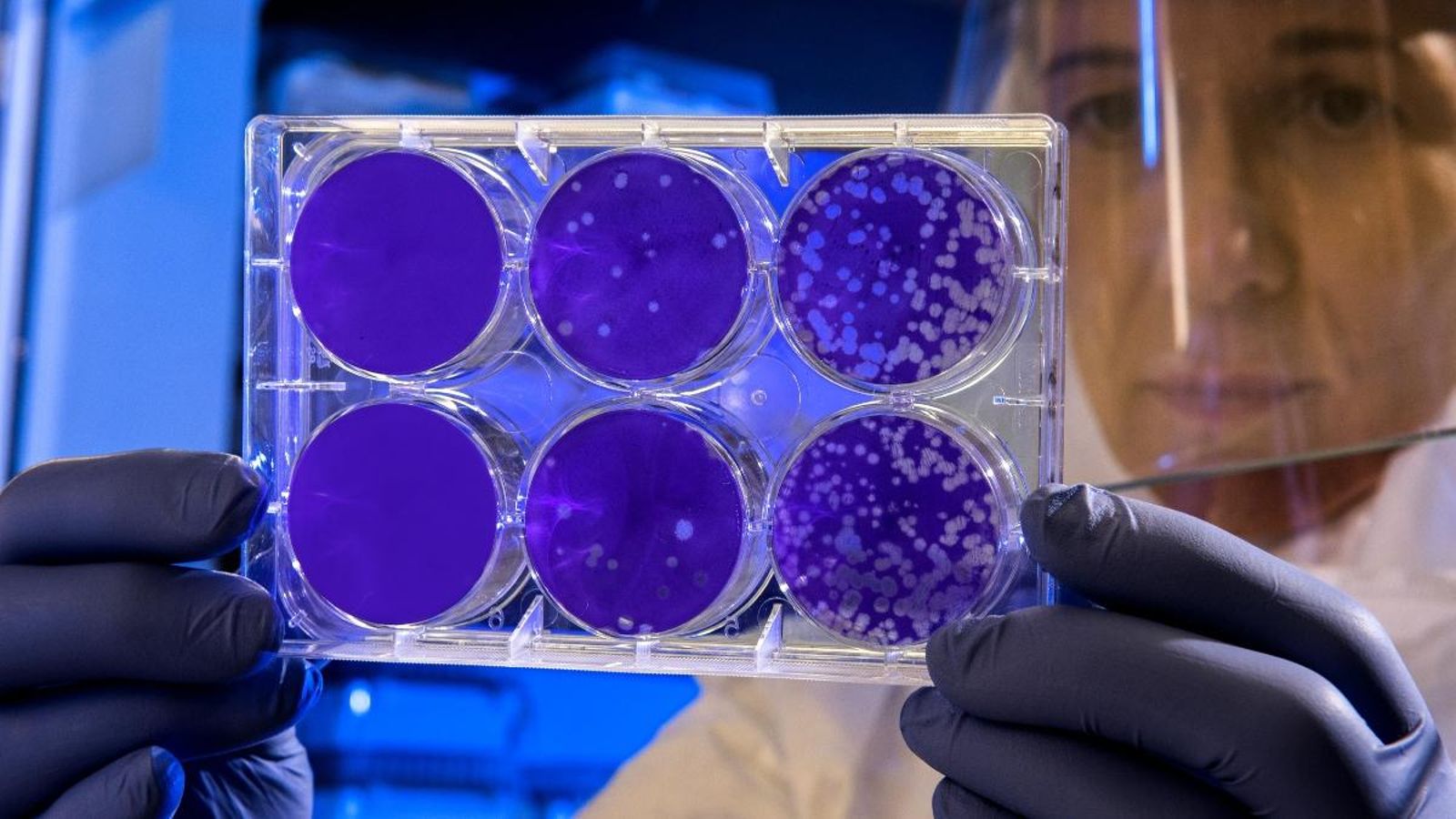 Una investigadora en una imatge d'arxiu