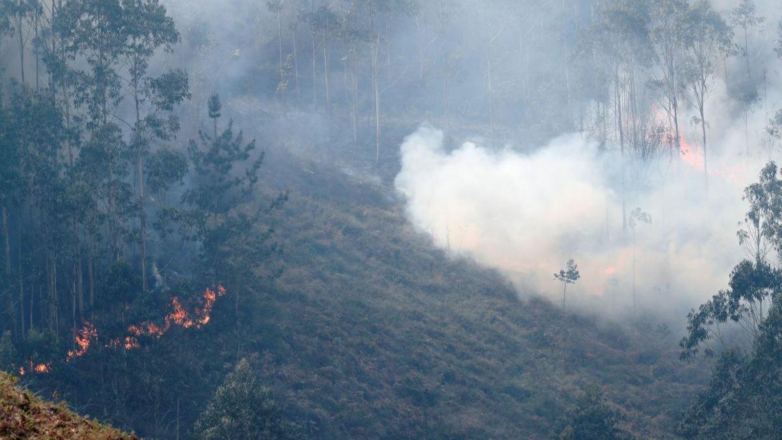 Incendi al terme de Llanes, Astúries