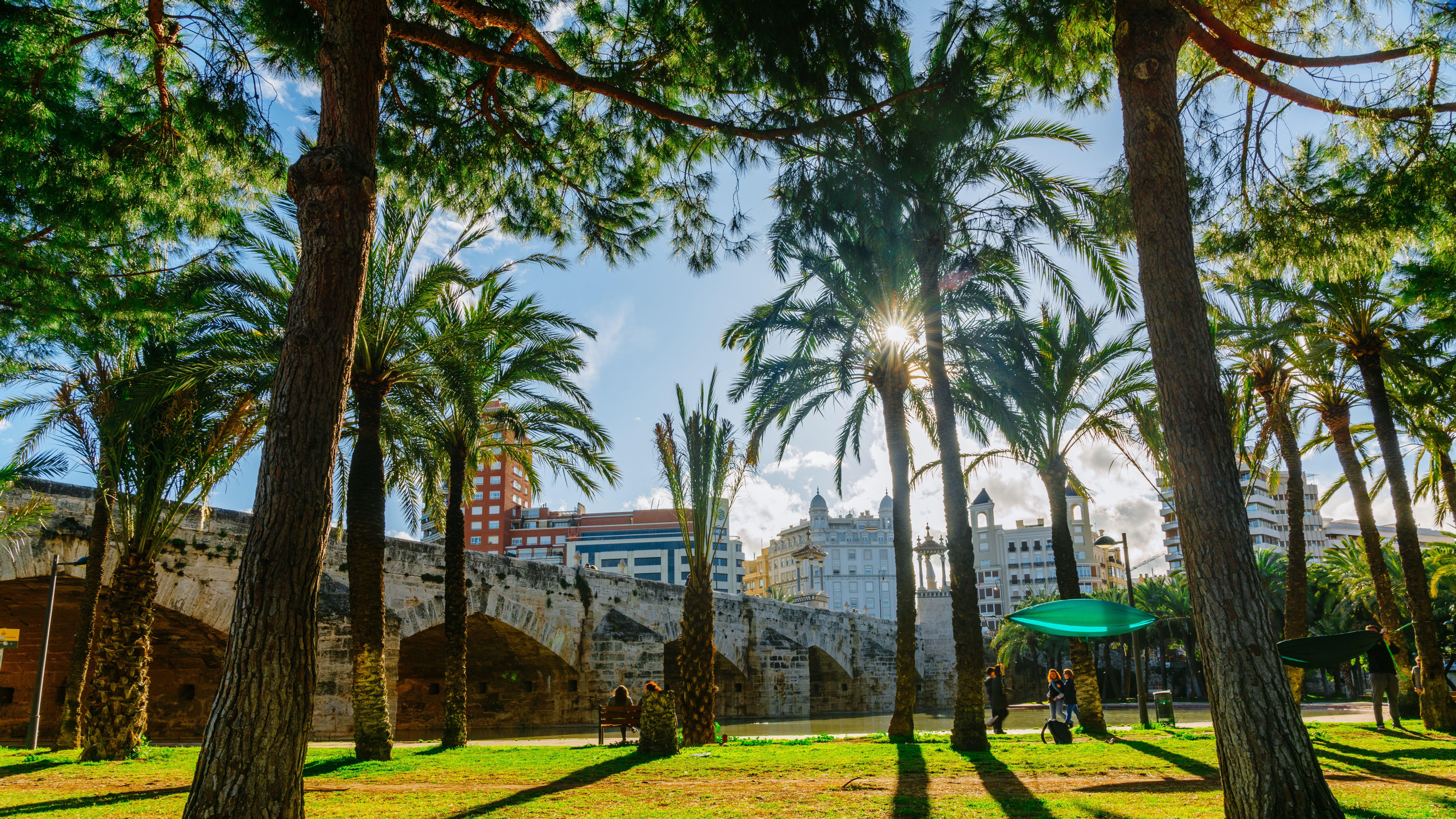 El jardí del Túria de València presenta fins a un grau o grau i mig menys de temperatura que els carrers de la ciutat El jardí del Túria de València presenta fins a un grau o grau i mig més de temperatura que els carrers de la ciutat