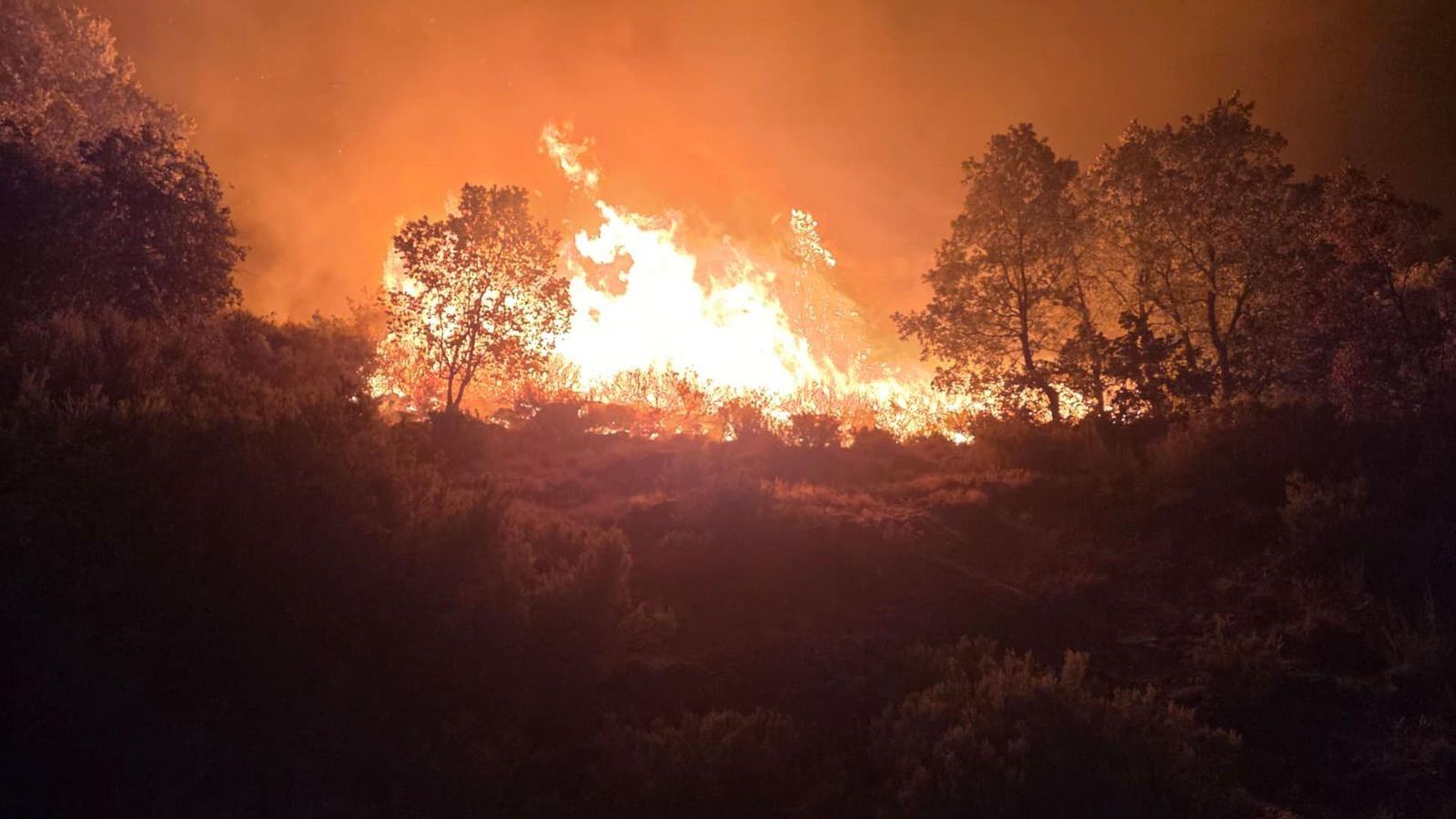 Les flames avancen a Jarilla (Càceres), un dels incendis actius més virulets