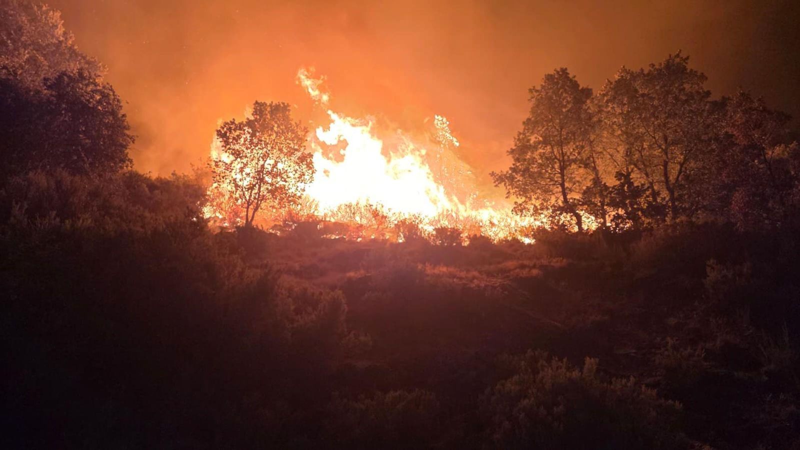 Les flames avancen a Jarilla (Càceres), un dels incendis actius més virulets Les flames avancen a Jarilla (Càceres), un dels incendis actius més virulets