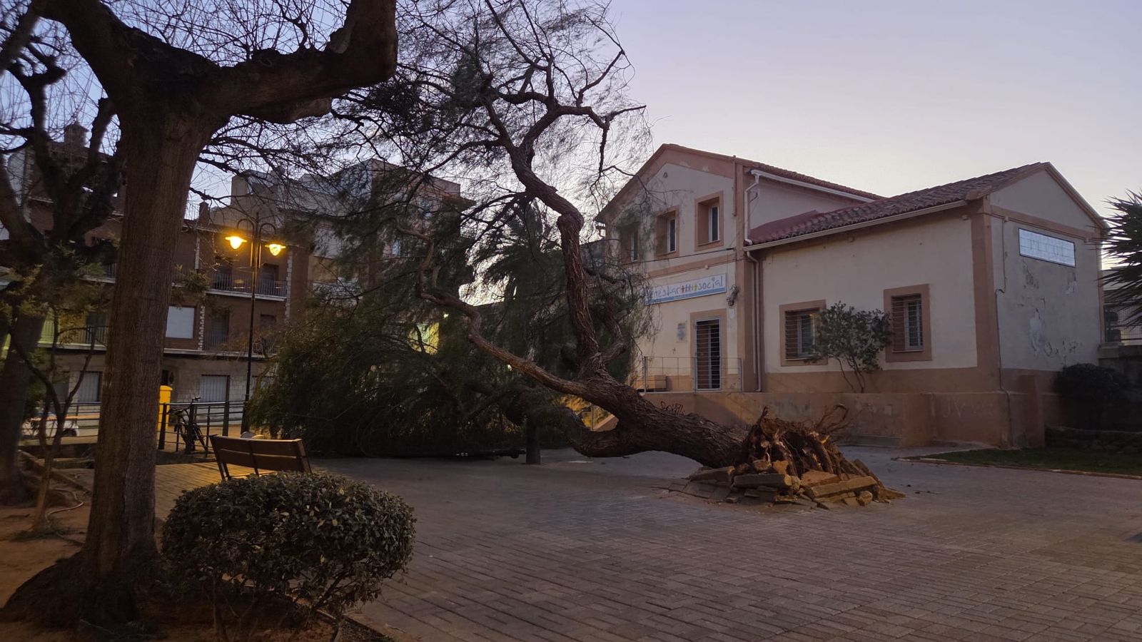 El vent tomba un arbre a Puçol (Horta Nord)