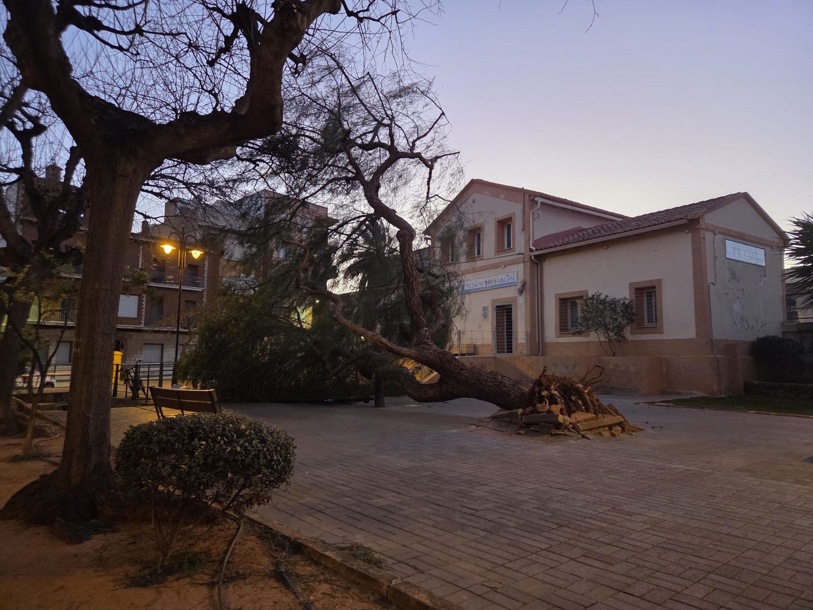 El vent tomba un arbre a Puçol (Horta Nord)