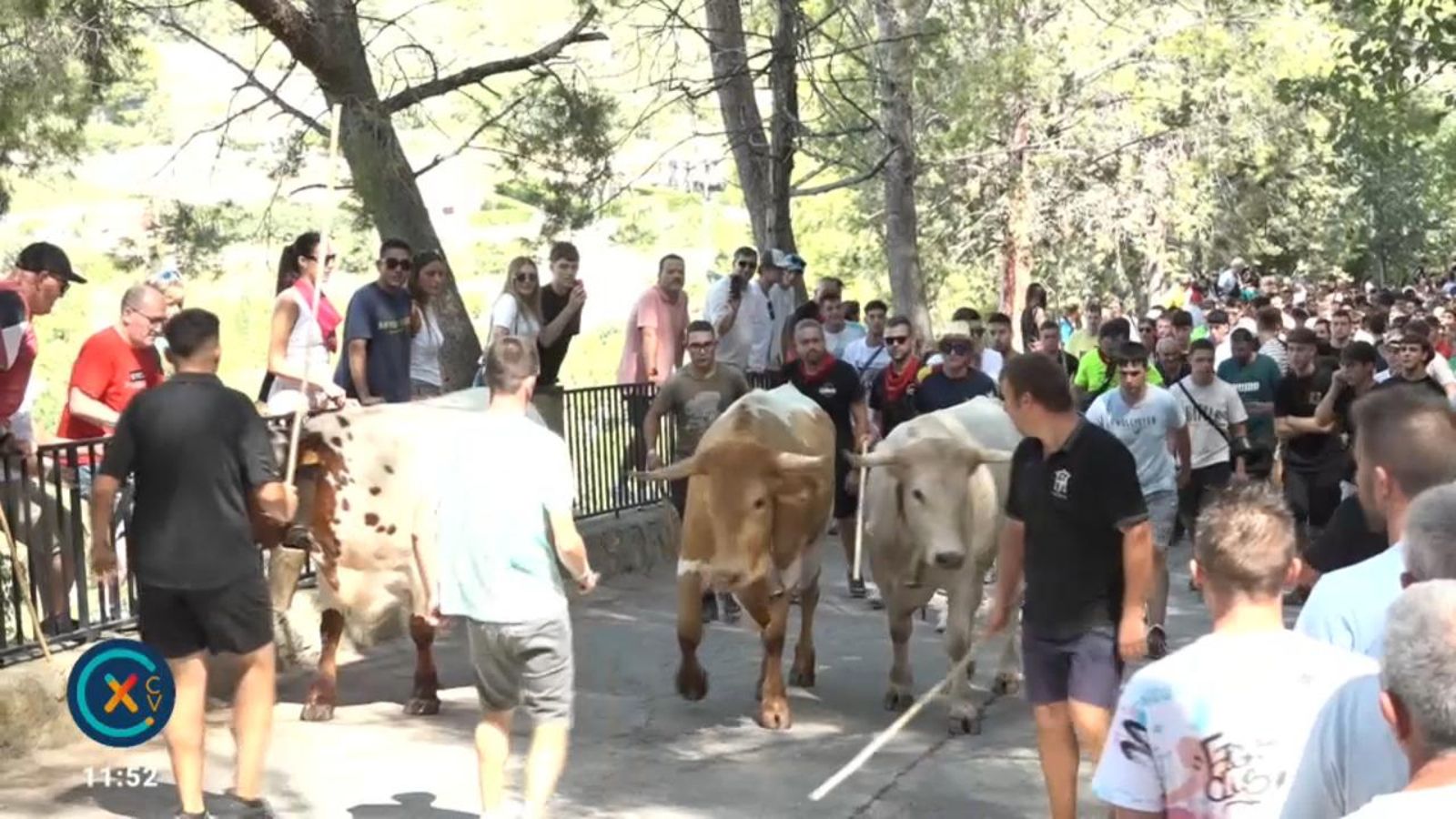 La pujada del Rialé, una tradició popular molt arrelada entre el veïnat de Segorbe