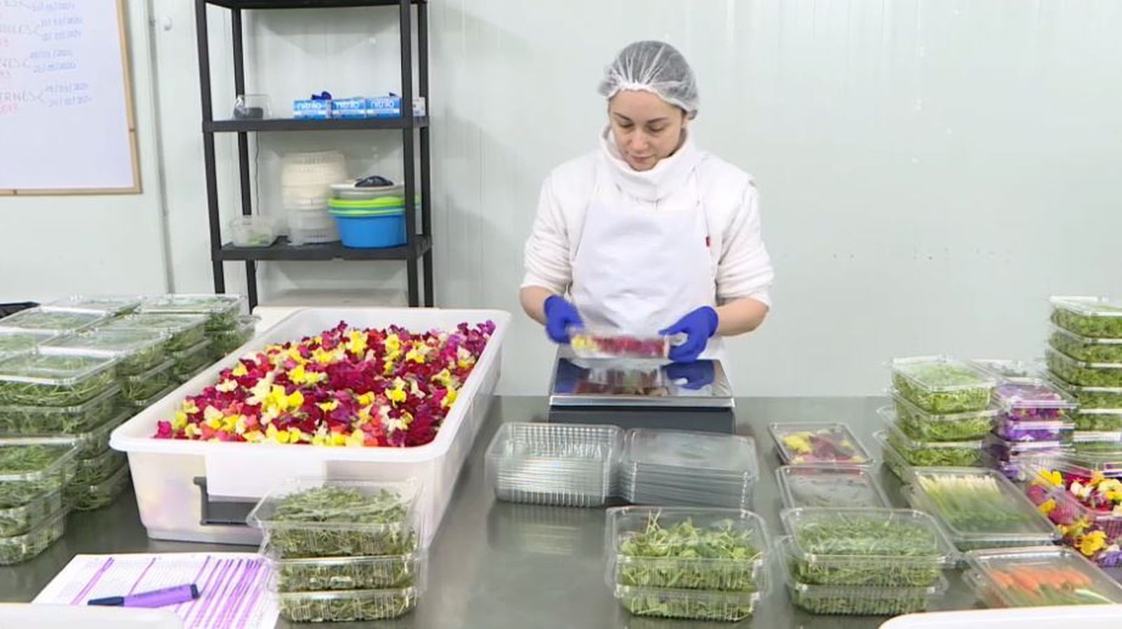 Flors comestibles