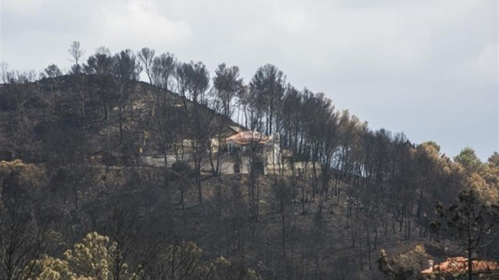La Generalitat destinarà 1,8 milions d\'euros per als afectats per l\'incendi de Marxuquera