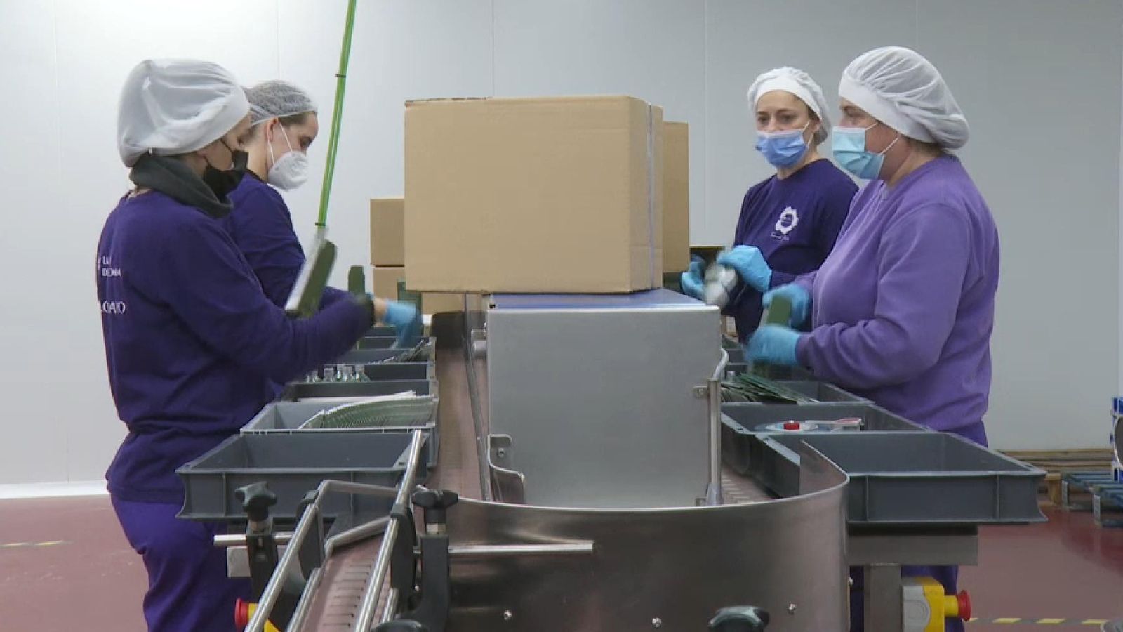 Dones en una fàbrica