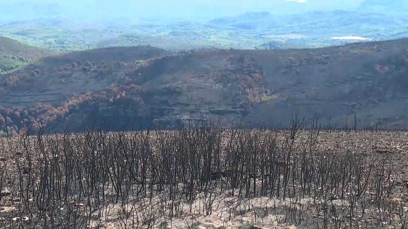 Terreny forestal cremat durant l'incendi a la Serra de la Calderona