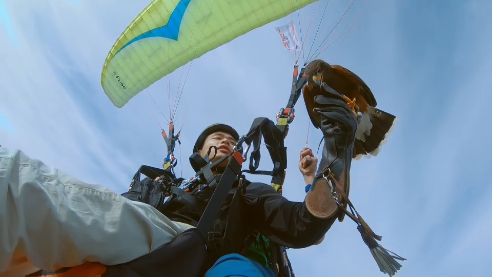 Hu Zhao sobrevola la vall del Vinalopó i el castell d'Onil en parapent en companyia d'una àguila