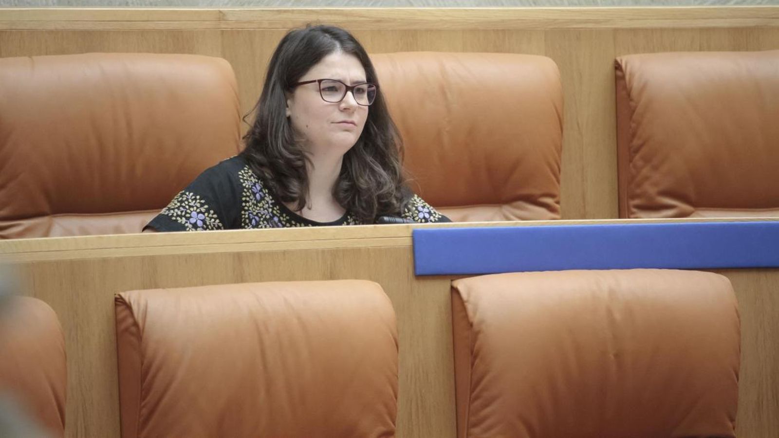 La diputada de Podem a la Rioja, Raquel Romero
