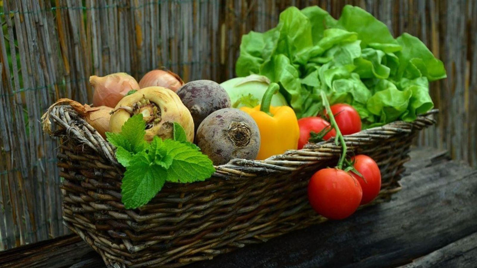 13.11.2018 | El futur de l\'agricultura i la ramaderia a la Comunitat Valenciana