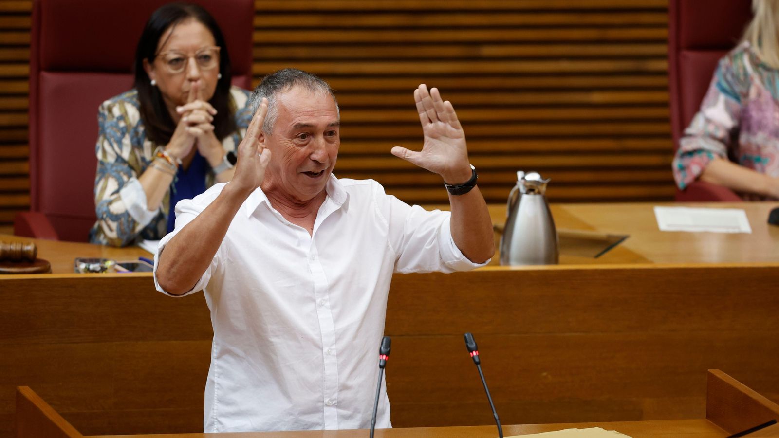 El síndic de Compromís, Joan Baldoví, durant una intervenció en les Corts