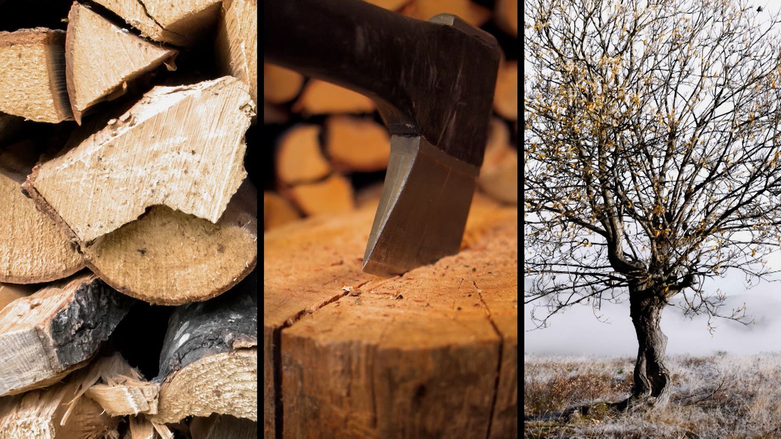 Poemes d'Àngels Gregori