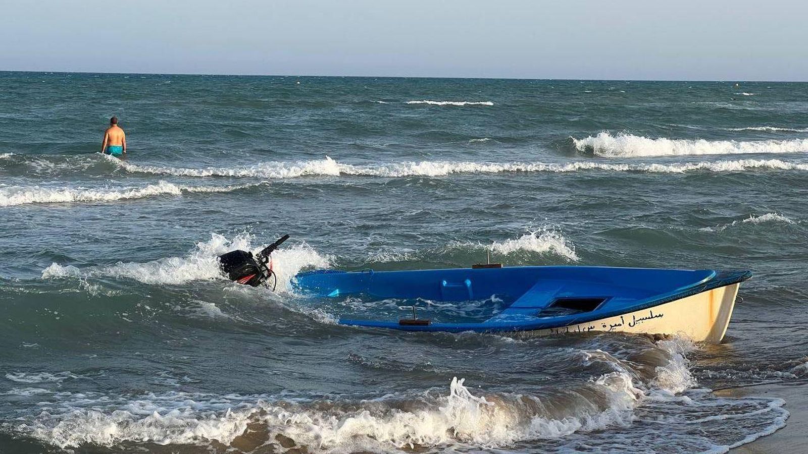 La pastera que ha arribat a la platja de Guardamar del Segura
