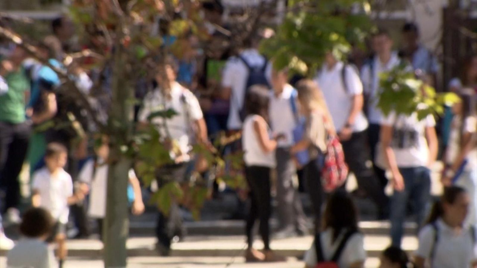 Assetjament escolar i nou curs acedèmic