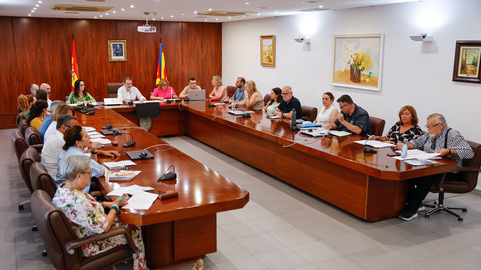 Plenari alfas del Pi, en arxiu