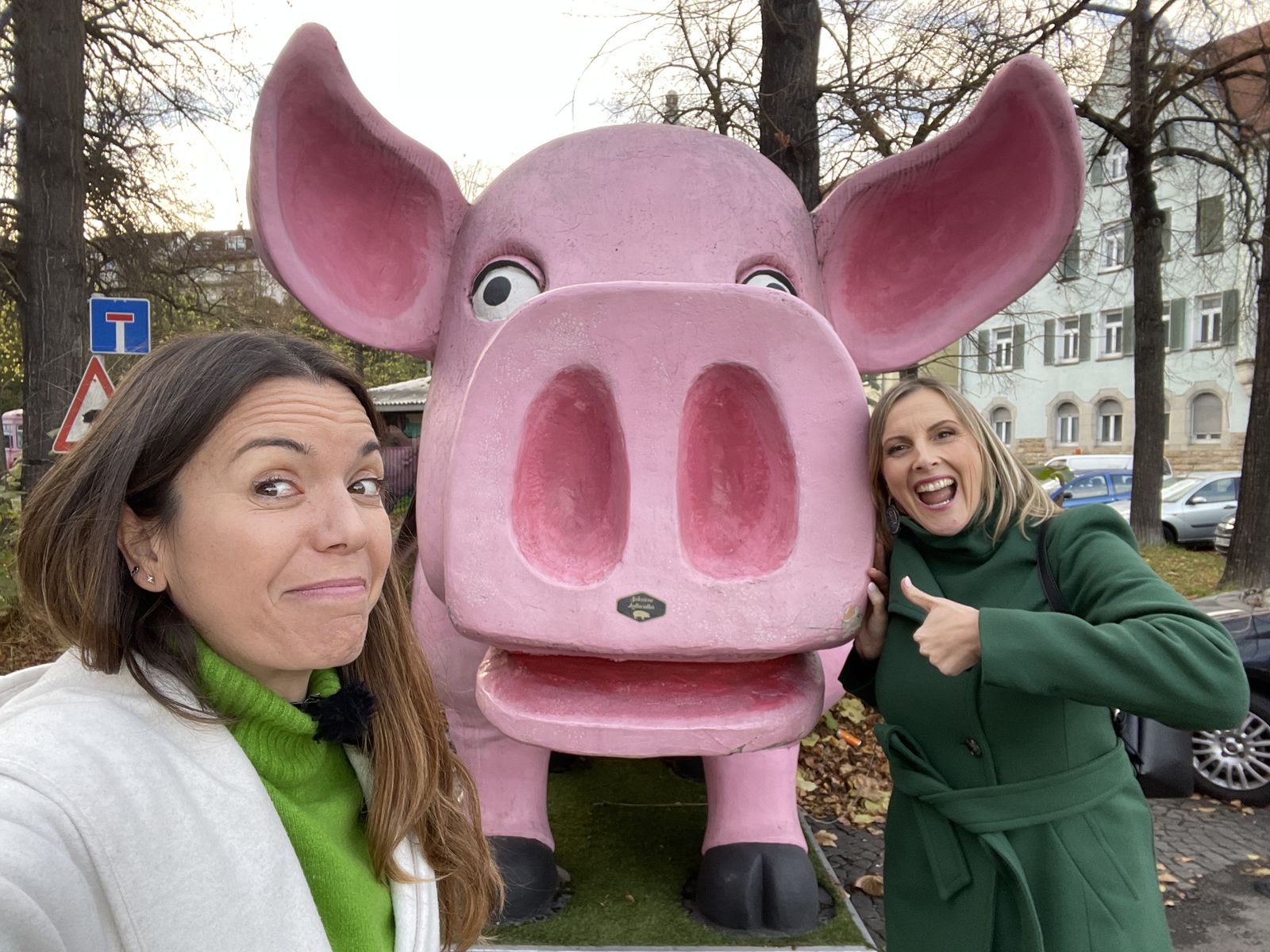 El Schweine-Museum, el museu alemany més gran del món dedicat al porc