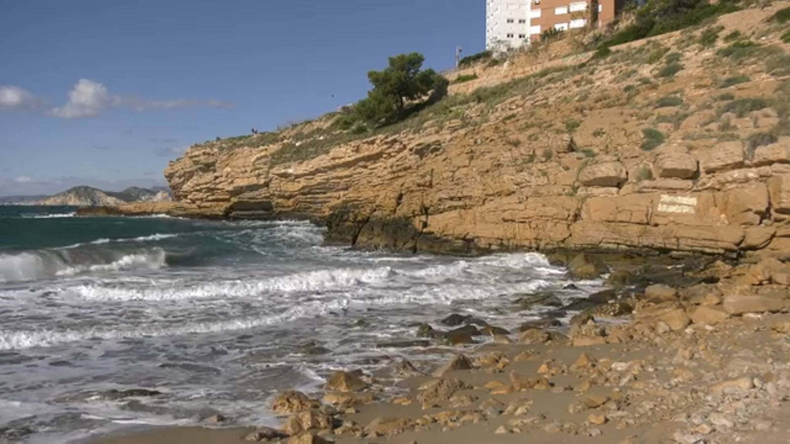 04.08.2023 | Terra Viva