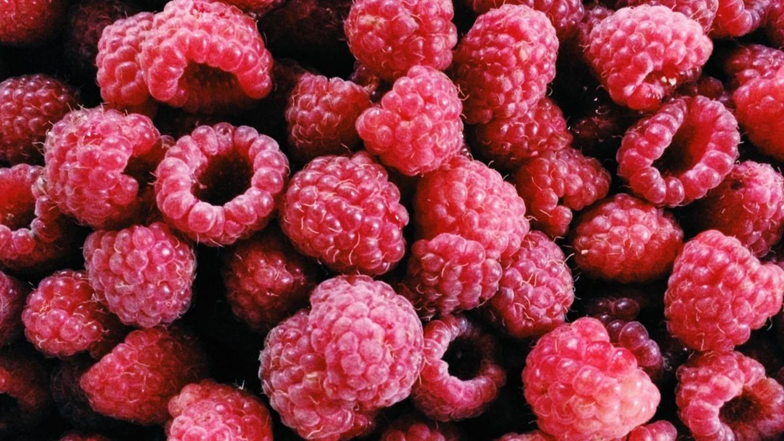 24.12.2021 | Panorama curiós