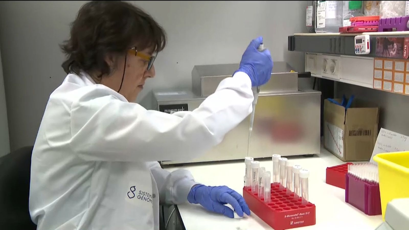 VÍDEO | Principals mesures del decret sobre igualtat laboral del govern espanyol