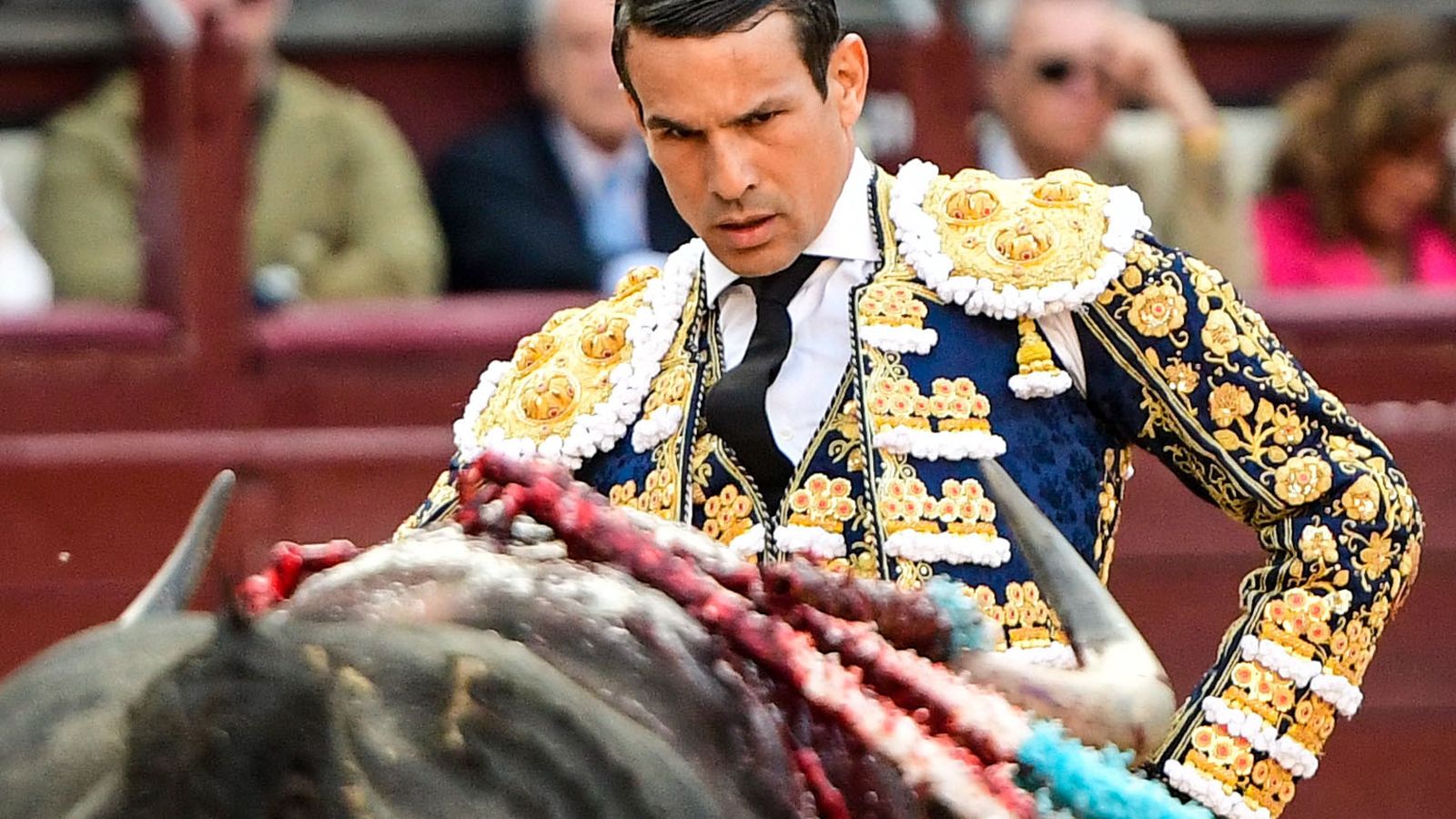 José Mari Manzanares toreja este dijous en À Punt