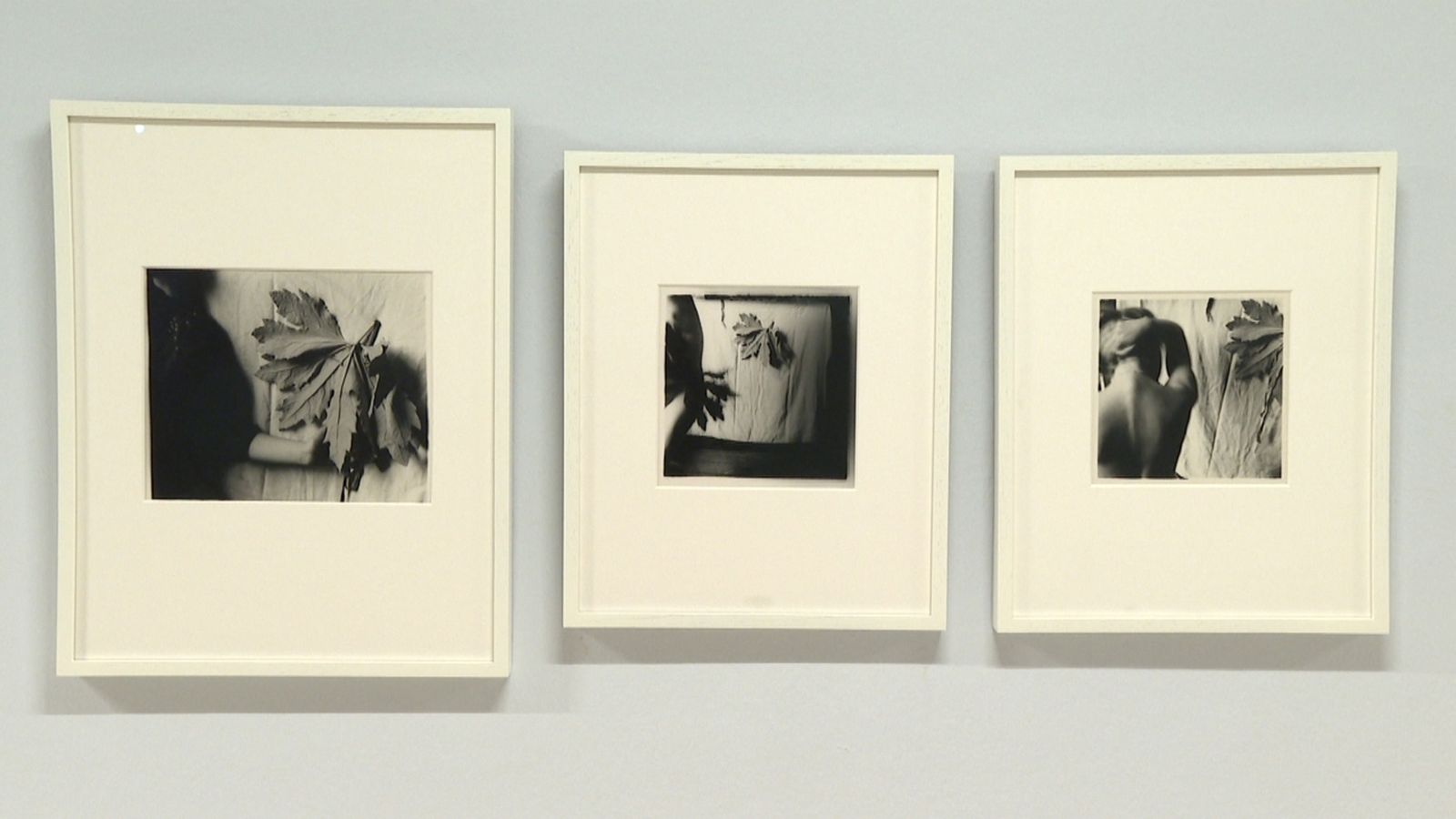 Exposició "Retrats per a somiar" en l'IVAM