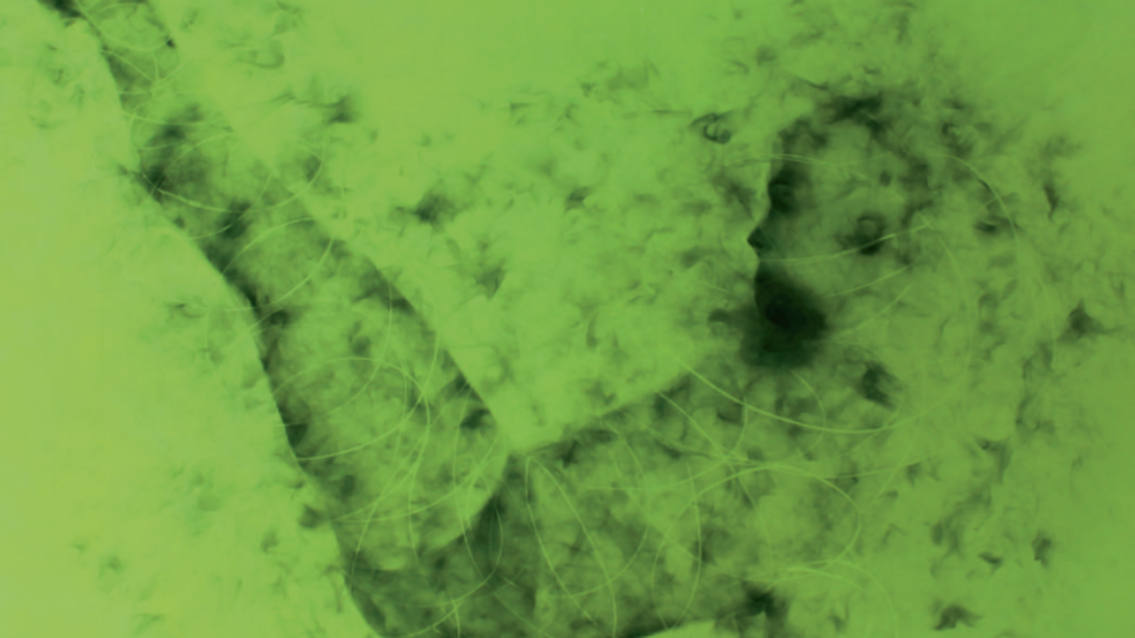 Obra de Tomàs Sivera dedicada als refugiats, realitzada amb la tècnica sfumato