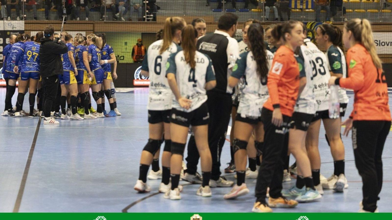 Imatge d'un partit de l'Handbol Elx