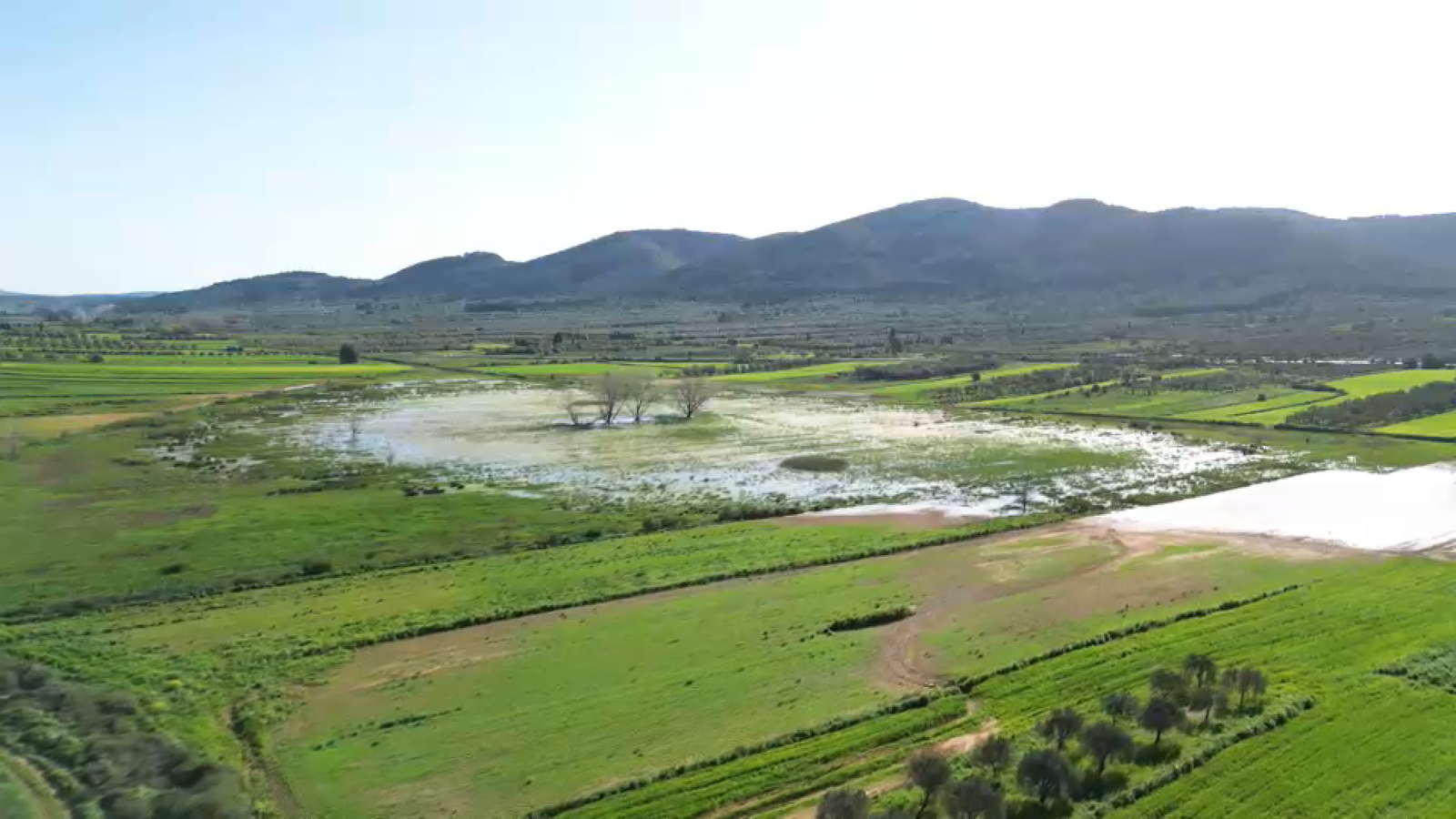 llacuna Sant Mateu