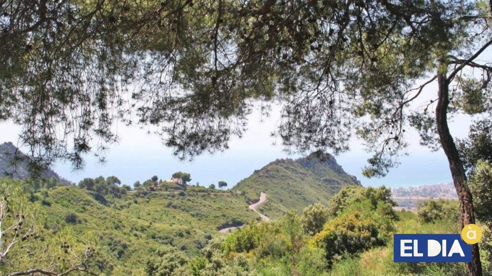 10.06.2021 | 'De Ruta' a la serra del Desert de les Palmes