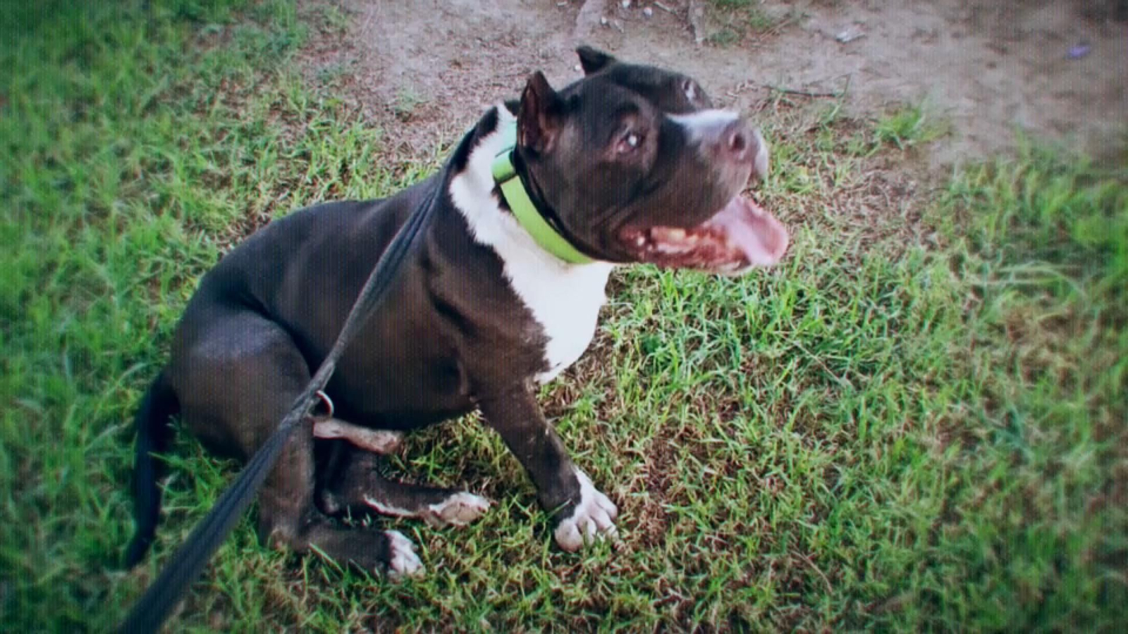 Una foto de Matt després d'haver sigut rescatat