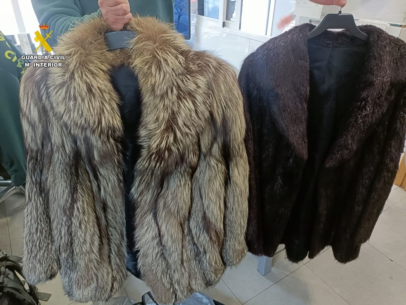 Els dos abrics de pell recuperats per la Guàrdia Civil