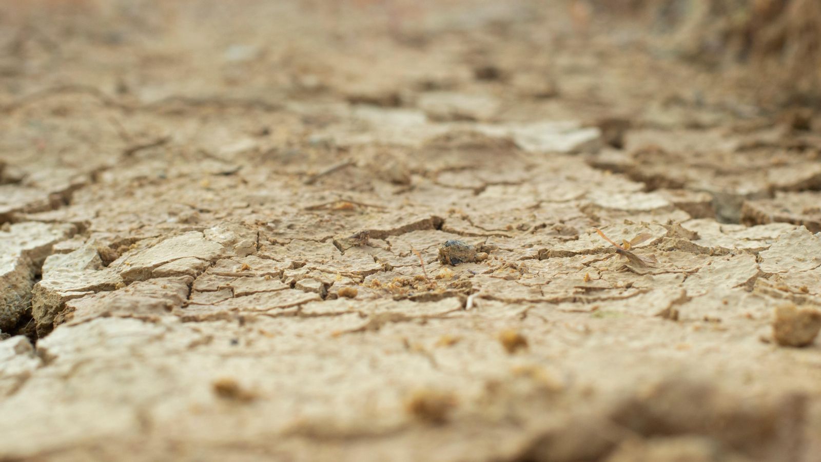 2023 és el cinqué any amb menys aigua emmagatzemada en els embassaments des que hi ha registres