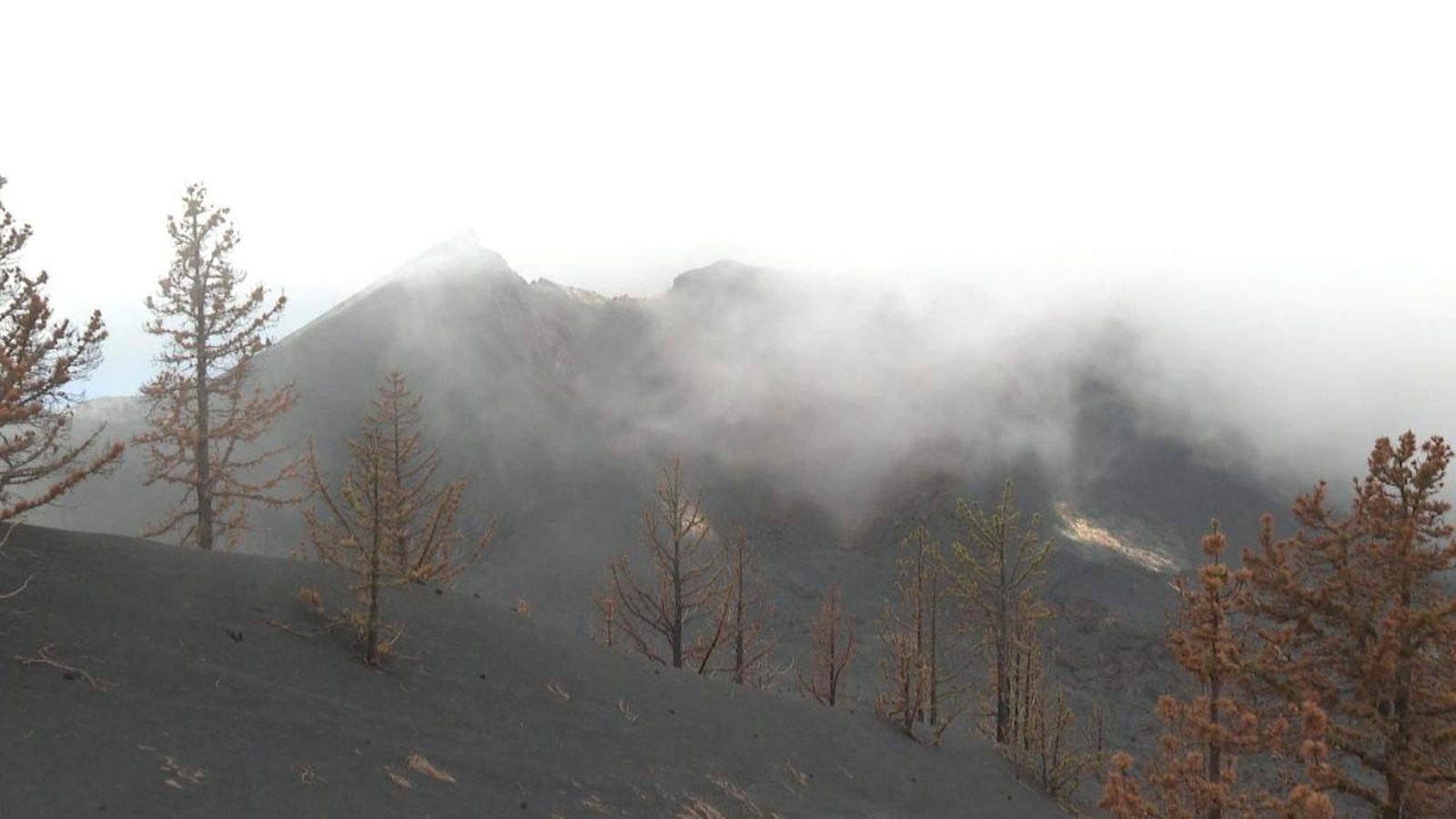 El volcà de Cumbre Vieja es troba en fase posteructiva i molts científics hi acudeixen per a estudiar el comportament