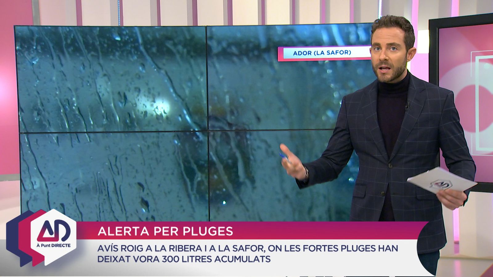 Cistelles de nadal a la terreta