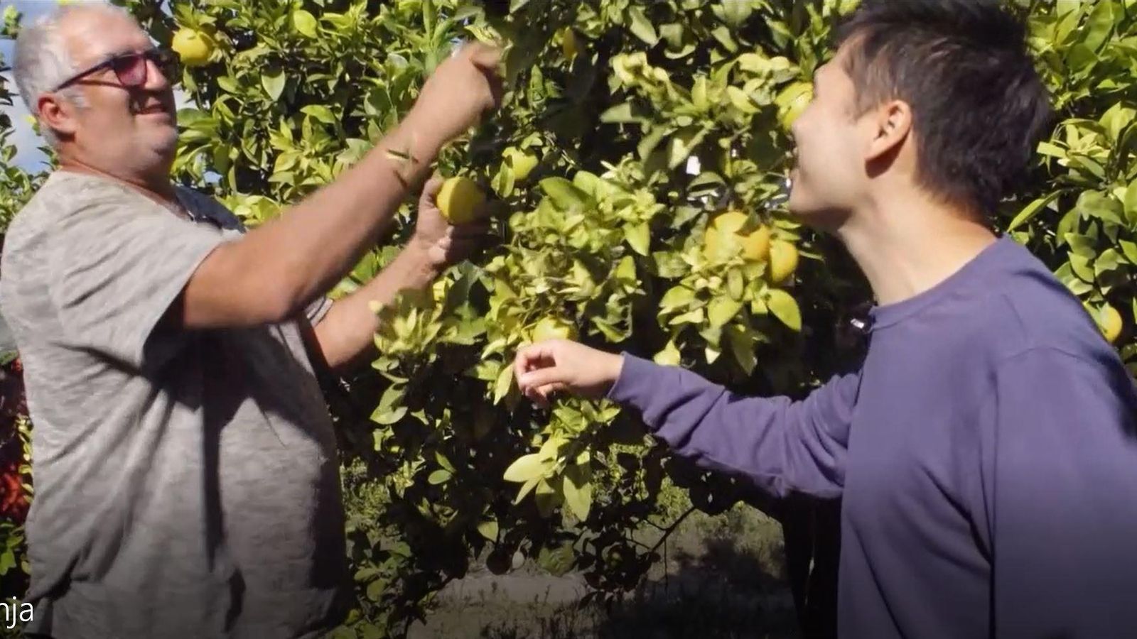 Hu i les taronjes - Hu Zhao