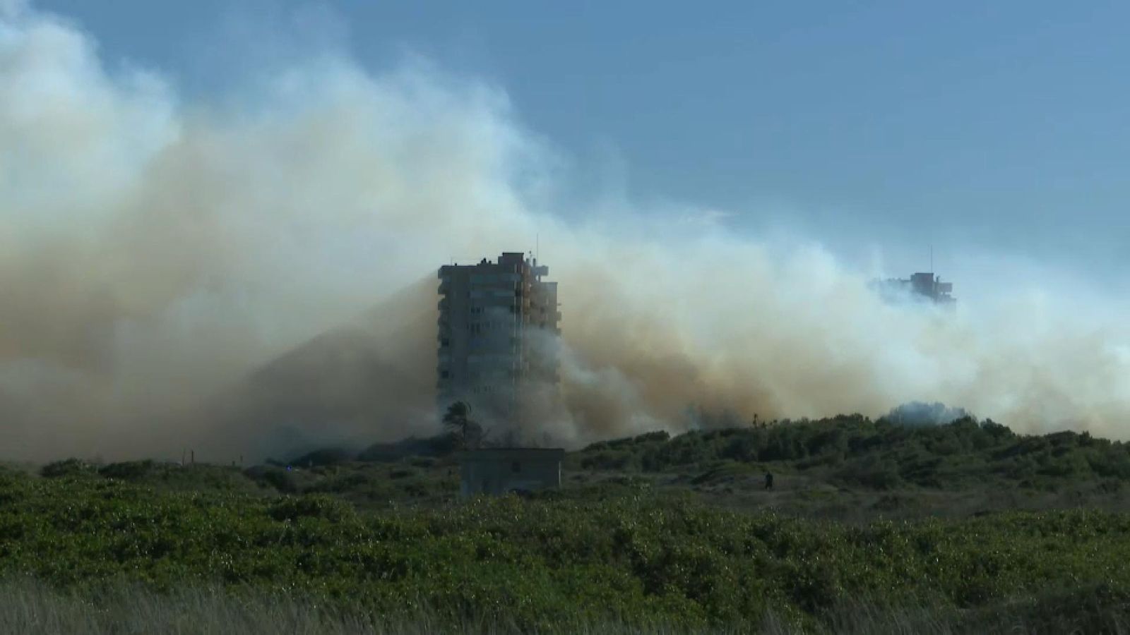 Incendi al paratge del Saler, a València