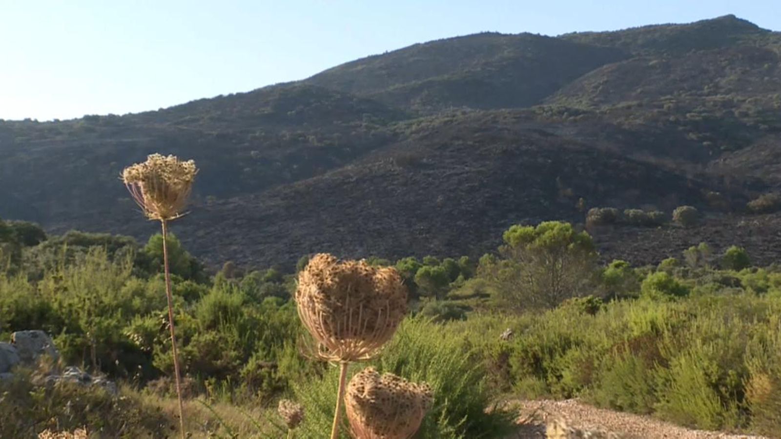 Zona de la Vall de la Gallinera afectada pel foc durant els últims tres dies