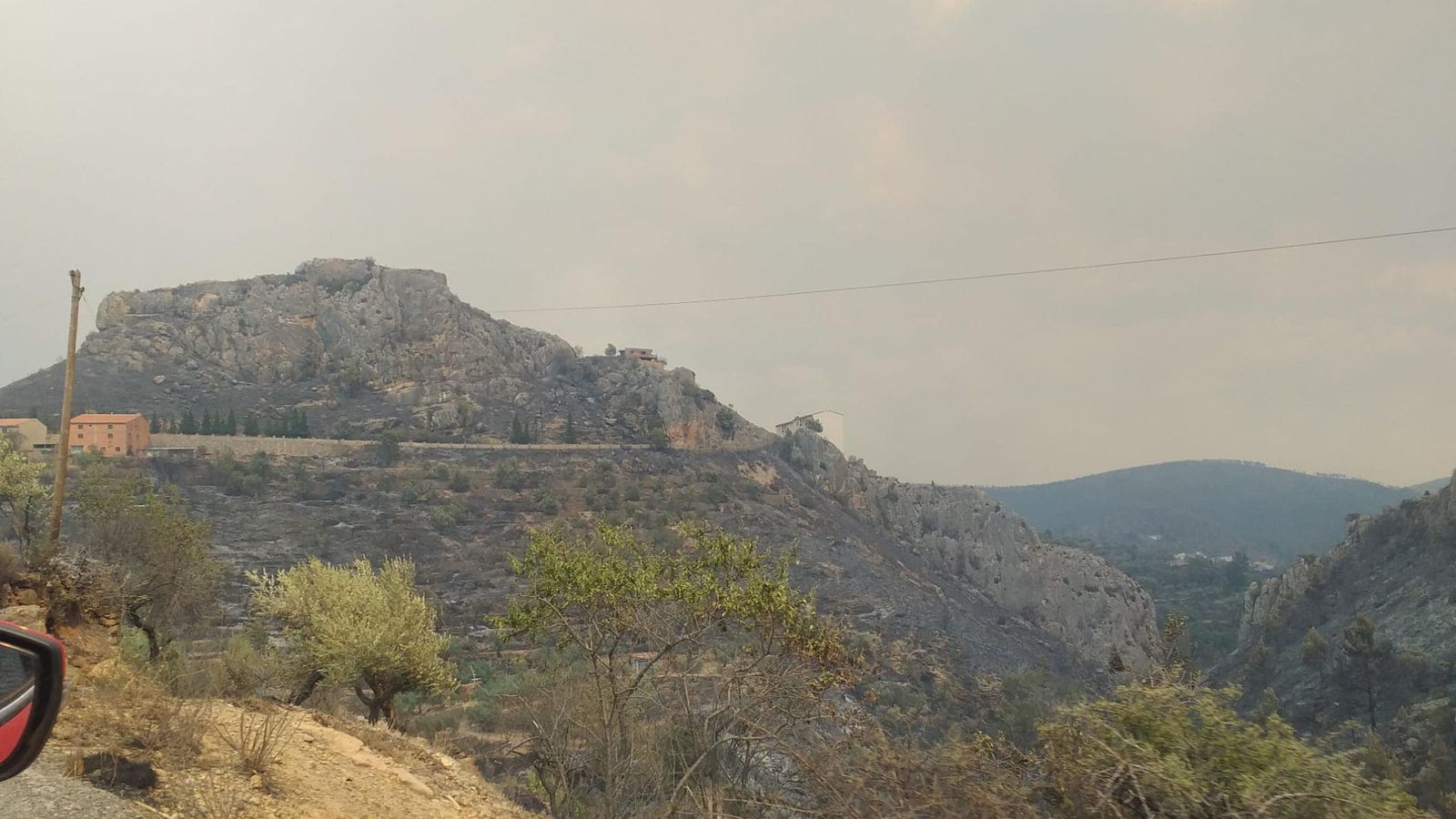 Una panoràmica d'una de les zones boscoses afectades pel foc