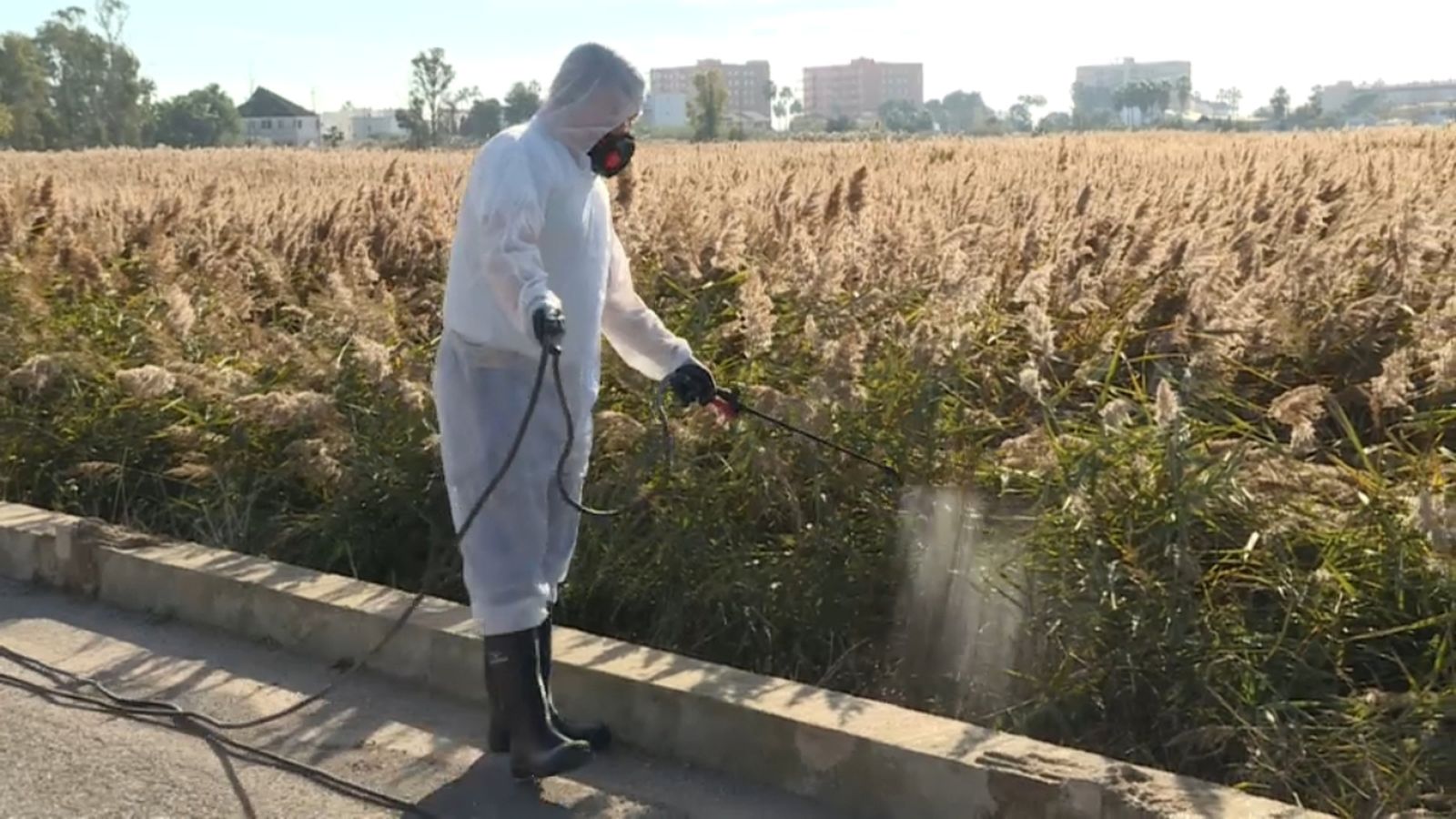 Un membre de la brigada fumiga la marjal de Castelló