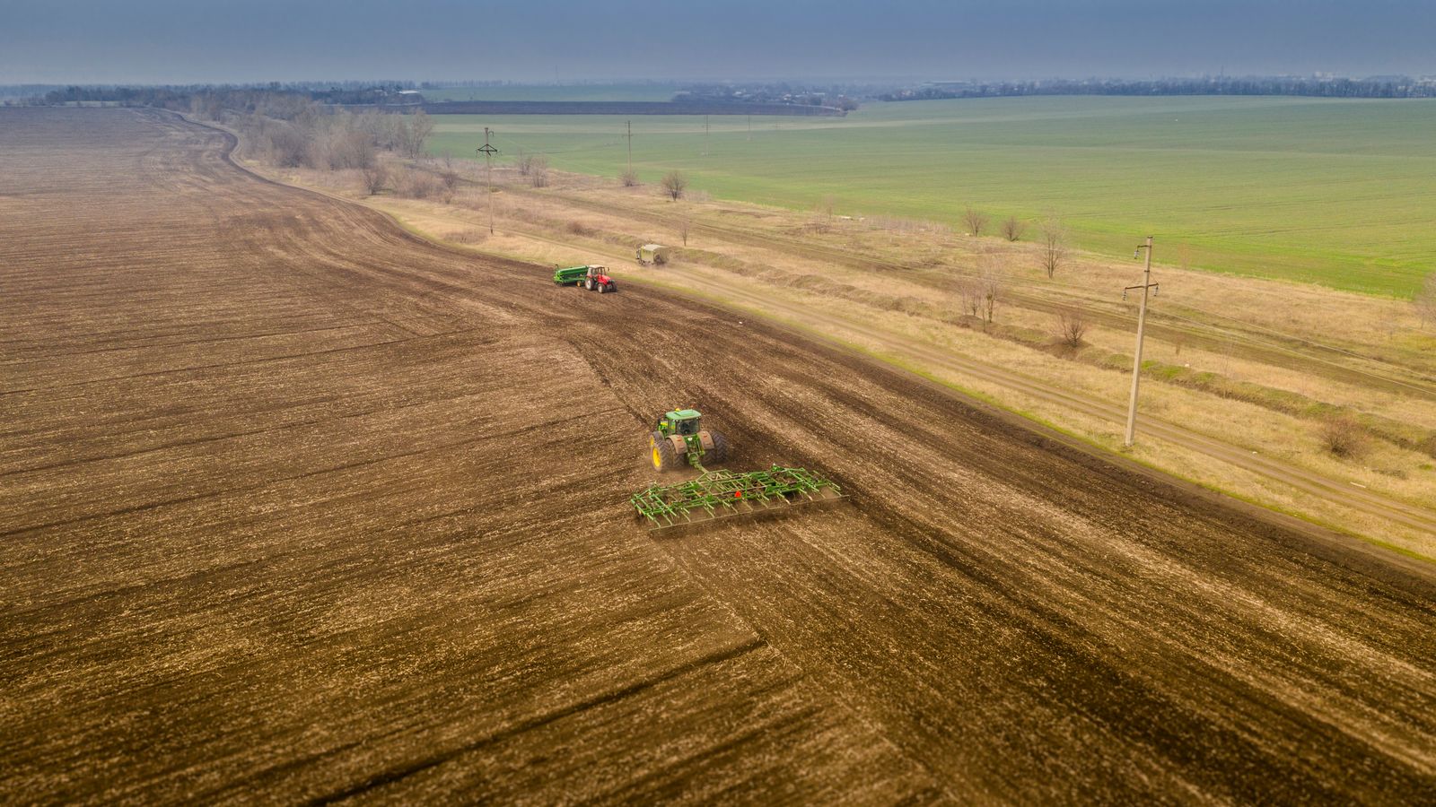 Recol·lecció de cereal a un camp ucraïnés, en una imatge d'arxiu