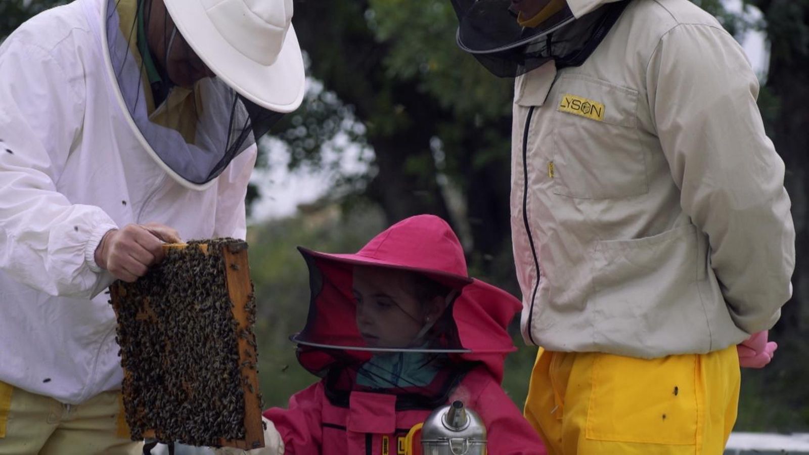 'Zoom' aborda el futur de les abelles.