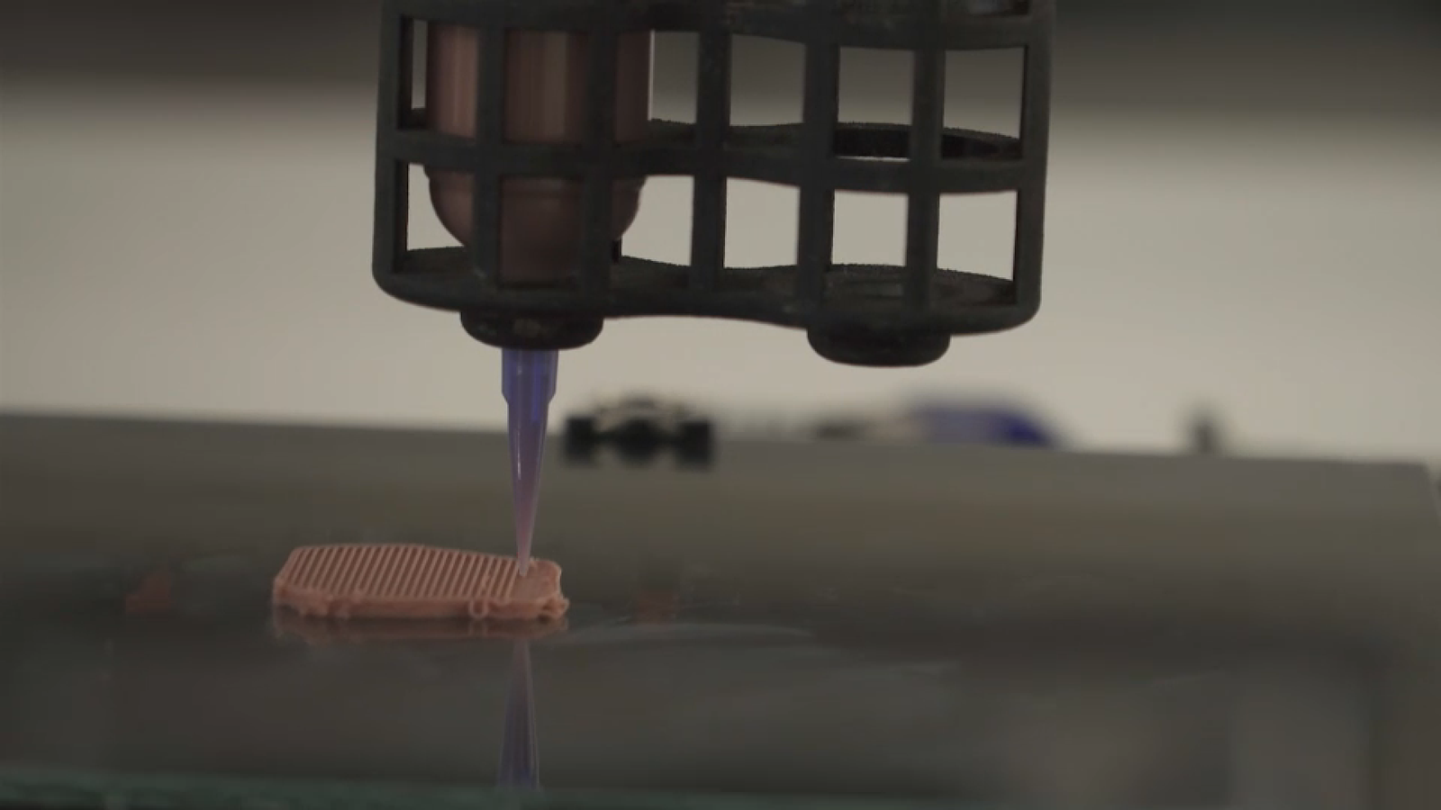 Una impressora 3D procesa proteïna vegetal amb una forma que recorda a la carn