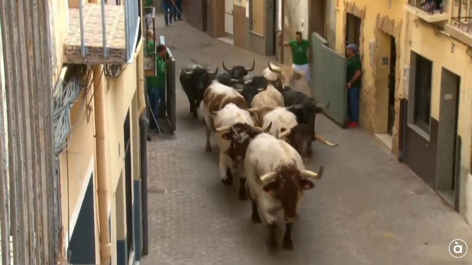 25.10.2025 | Entrada de bous de la fira d'Onda
