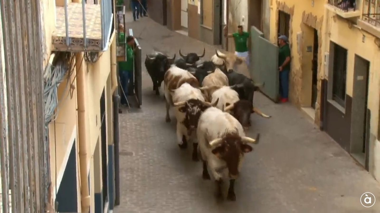 25.10.2025 | Entrada de bous de la fira d'Onda