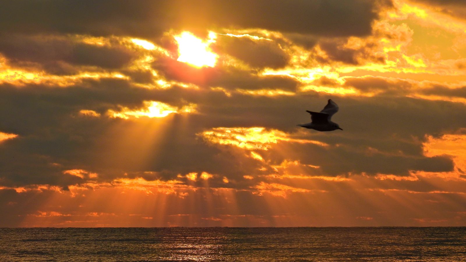 XÀBIA, LA MARINA ALTA