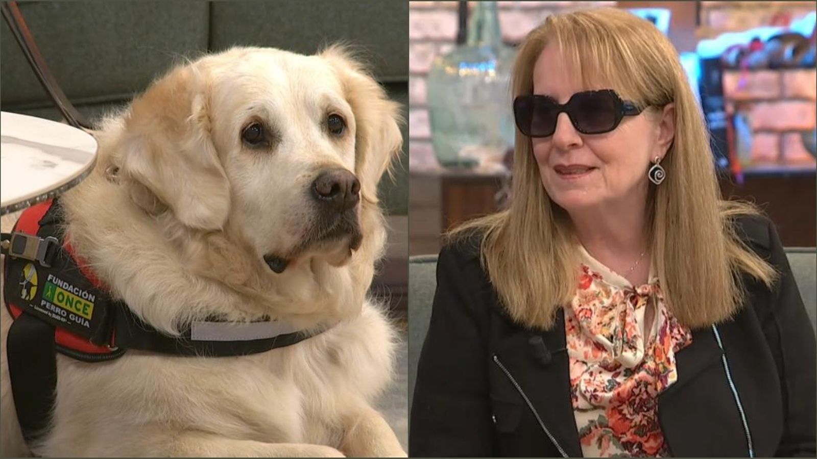 Fanton i Isabel fan un gran equip