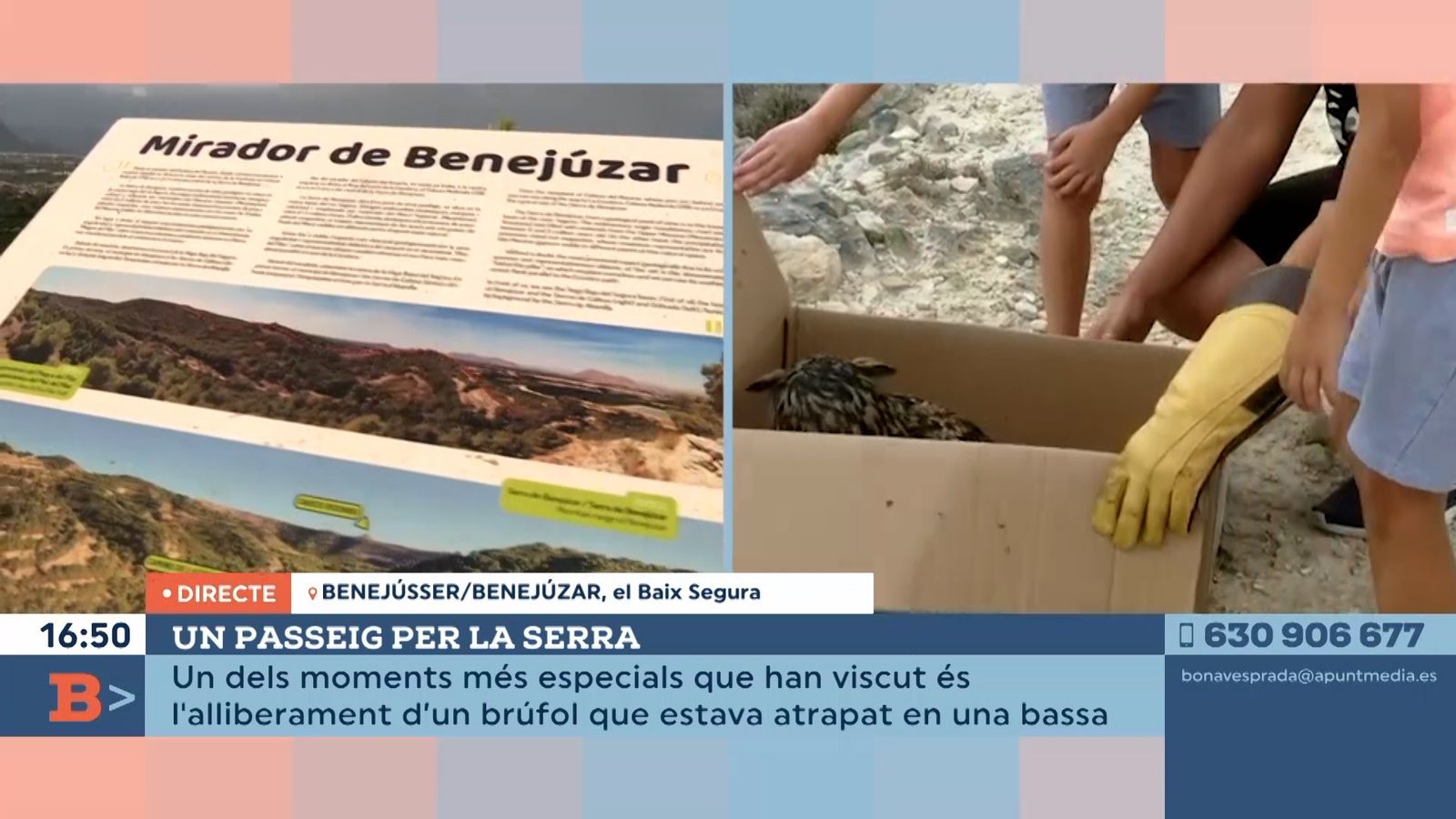 09.11.2021 | Un passeig per la serra de Benejússer