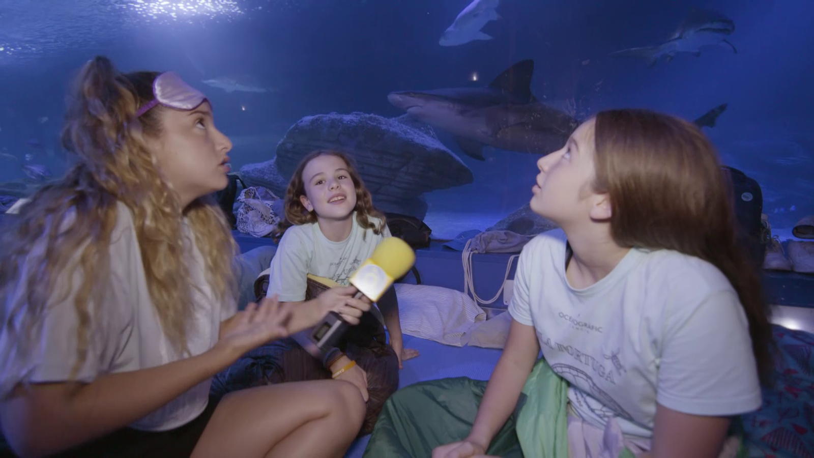 La Colla Esplai | Dormen els taurons?